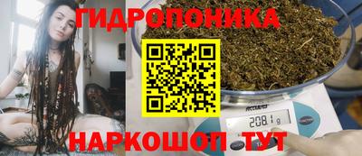 apvp Канаш