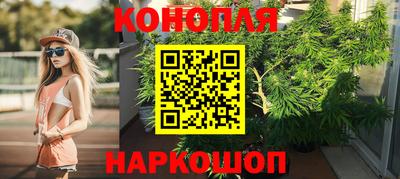 apvp Канаш