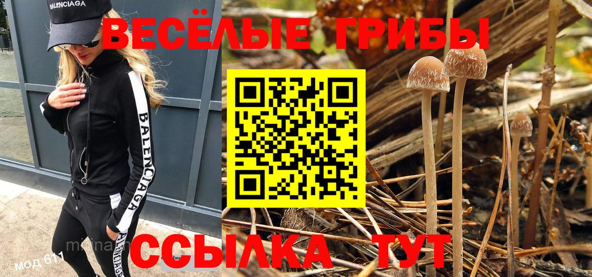 Ливны  Галлюциногенные грибы мухоморы  Галлюциногенные грибы мицелий  Вход с VPN 