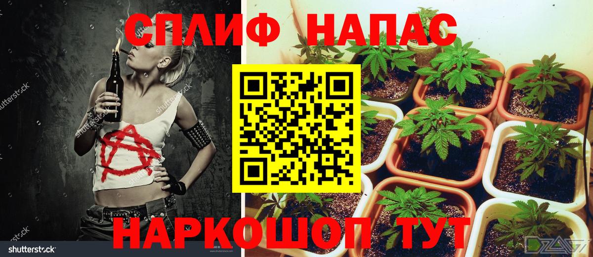 Ливны  Конопля марихуана  Бошки Шишки VHQ  Марихуана семена  Бошки Шишки OG Kush  Вход с VPN 